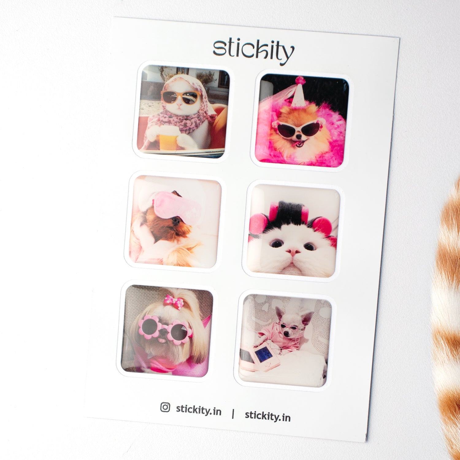 Everyday Cat Mood Sticker Pack