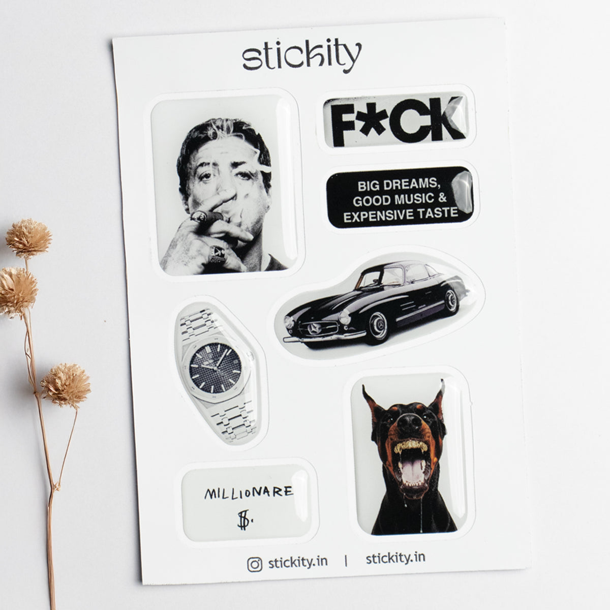 Millionaire Mood Sticker Pack