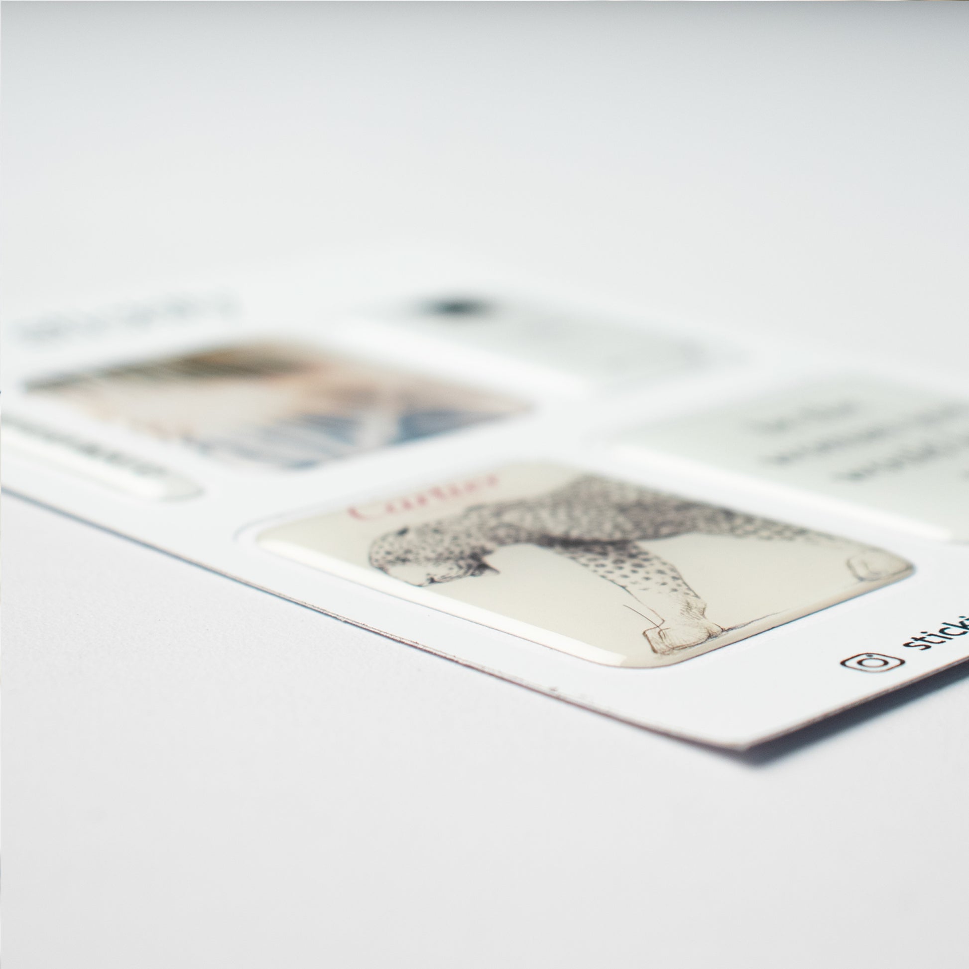 Sunrise & Shine Sticker Pack