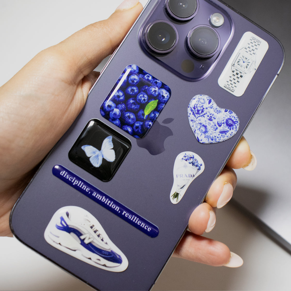 Blueberries and Flowers Sticker Pack