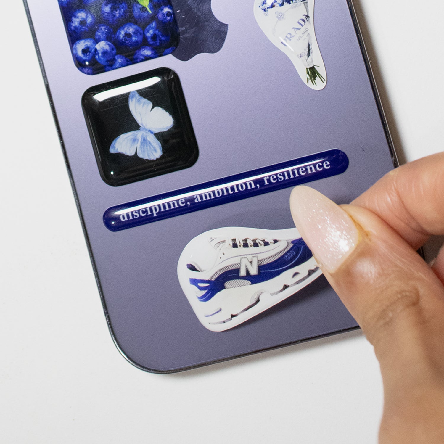 Blueberries and Flowers Sticker Pack